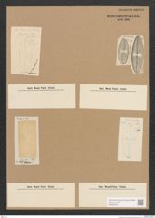Diatomeae indet. Zeichnungen Sammlung Grunow Nr. 1814 (NHMW-BOT-W0368730)